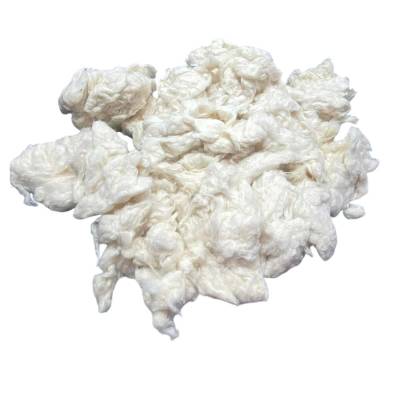 Raw Cotton Manufacturers in Patna