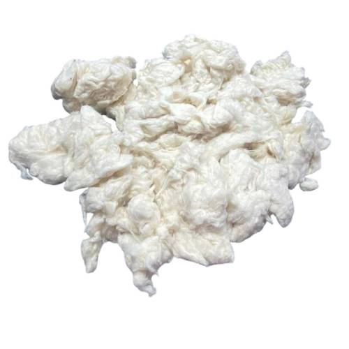 Raw Cotton Manufacturers in Patna
