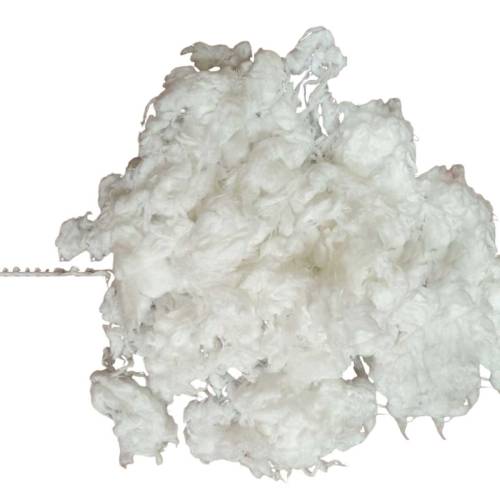 Cotton Comber Noil Manufacturers, Suppliers in Patna